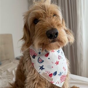 Patriotic Dog Bandana